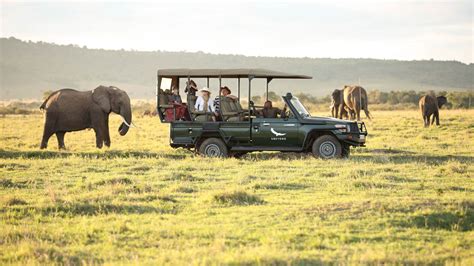 Game Drive Safari In Maasai Mara National Reserve Kenya Safaris