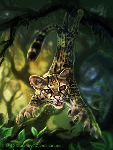 Felidae The Margay Leopardus Wiedii By Felisglacialis On Deviantart