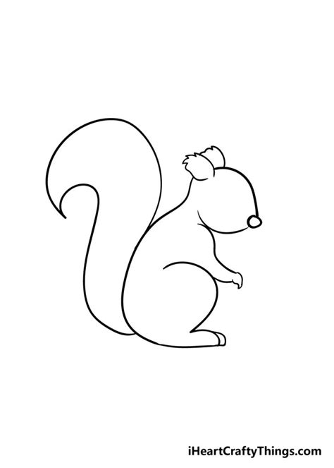 Squirrel Drawing How To Draw A Squirrel Step By Step