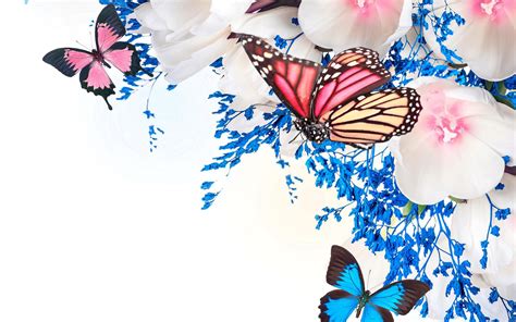 Outstanding Spring Wallpaper Butterfly You Can Get It At No Cost Aesthetic Arena