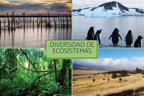 Diversidaddeecosistemasqueesyejemplos2907orig Ecología Hoy