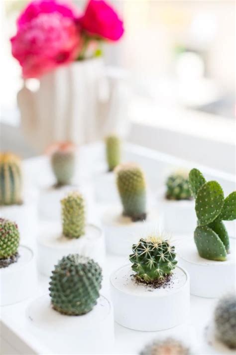 Cactus Inspired Diy Crafts You Can Make For Your Home Cactus Decor