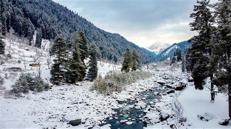 In Pics Tourists Mesmerized By Fresh Snowfall In Pahalgam