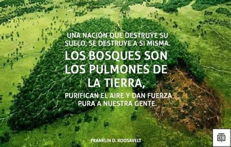 Todas las noticias sobre la tierra publicadas en el país. 10 inspiradoras frases para la celebración del Día Mundial ...