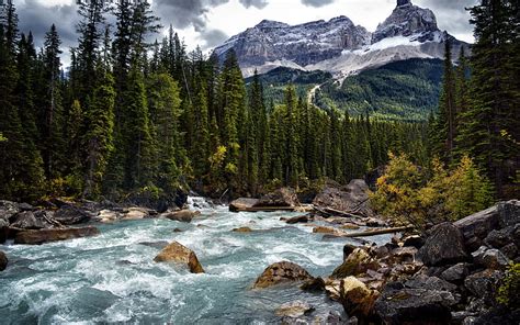 2k Free Download Mountain River Beautiful Mountain Landscape Forest