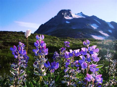 Why You Should Visit Washingtons North Cascades National Parks