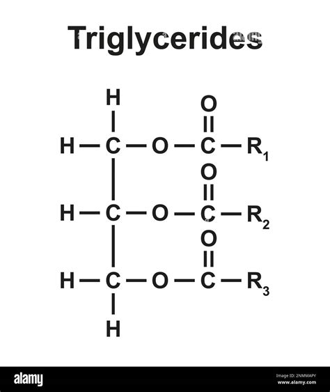 Triglyceride Structure Illustration Stock Photo Alamy