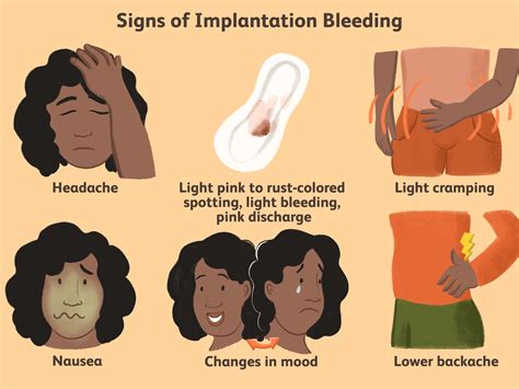 Implantation Bleeding Colours