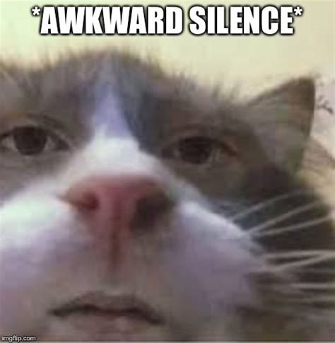 Awkward Silence Imgflip