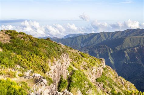 Paisagem Da Montanha Em Madeira Portugal Foto De Stock Imagem De