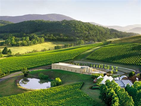 The 16 Best Yarra Valley Wineries And Cellar Doors To Visit Yarra