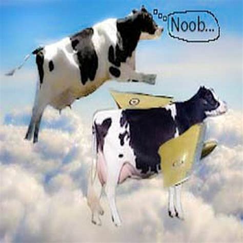 Flying Cow Youtube