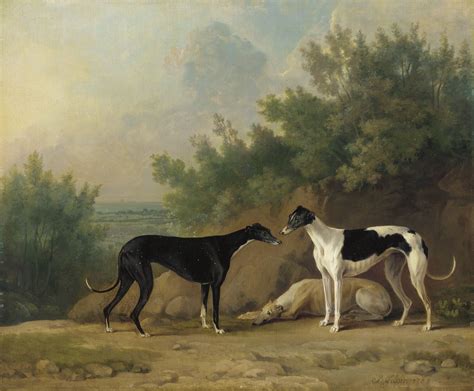 Sawrey Gilpin R A British Three Greyhounds In An Extensive Landscape Christie