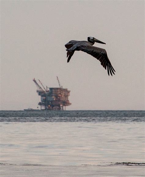 Florida Is Exempted From Coastal Drilling Other States Ask ‘why Not