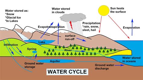 Water Cycle Definition And Steps Explained With Simple Diagram Images