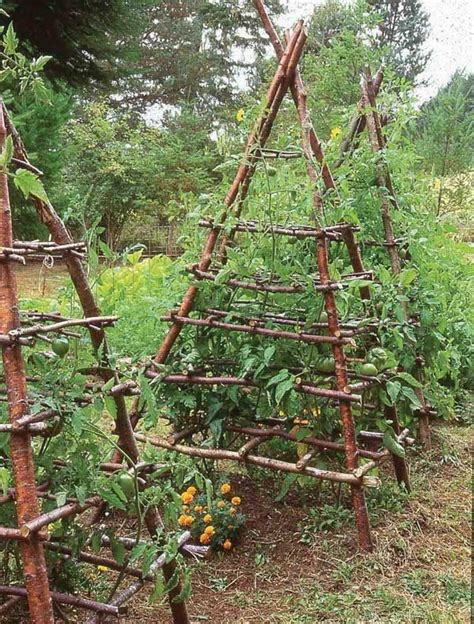 Beautiful Trellises Tomato Trellis Garden Projects Vegetable Garden