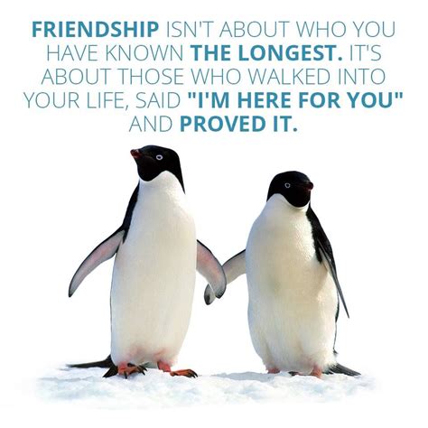 Below you will find our collection of inspirational, wise, and humorous old penguin quotes, penguin sayings, and penguin proverbs, collected over the years from a variety of sources. friendship | Penguin quotes, Relationship advice, Sayings