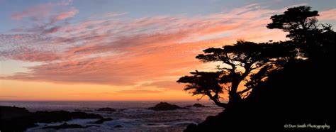 Point Lobos Cypress Trees And Sunset Sky Landscape And Rural Photos Don Smith Photographys Blog