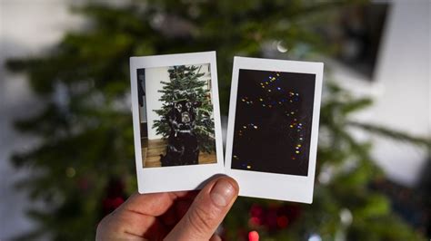 5 Tips For Getting The Best Shots With Your Polaroid Or Instax Camera