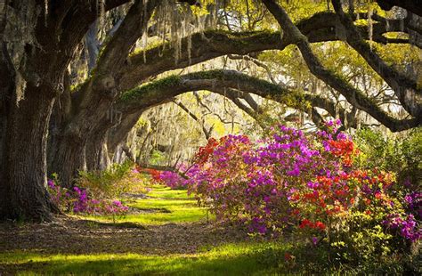17 Top Rated Attractions And Places To Visit In South Carolina Planetware
