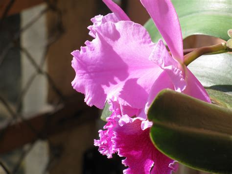 See more of hidroeléctrica ituango : CORPORACIÓN COLONIA DE ITUANGO EN MEDELLÍN: HERMOSAS ...