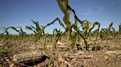 El Salvador Controlará Sequía Con Imágenes Satelitales El Salvador Avanza