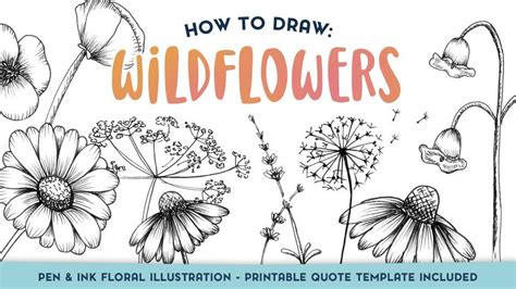 How To Draw Wildflowers Ink Floral Illustration Bonus Printable