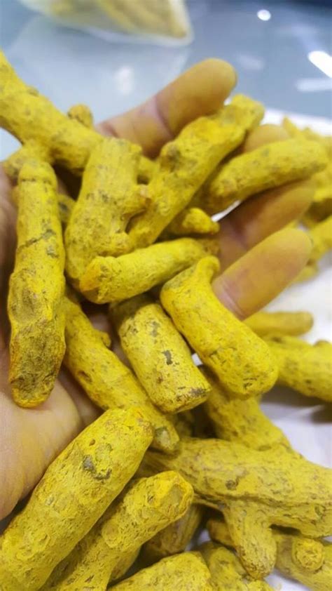 Nizamabad Polished Turmeric Finger Kg At Rs Kg In Ahmedabad