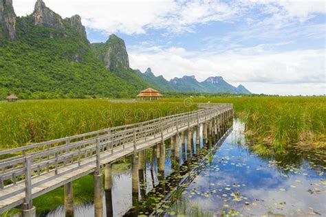 Beautiful View Of Wooden Bridge On Lotus Lake At Khao Sam Roi Yod
