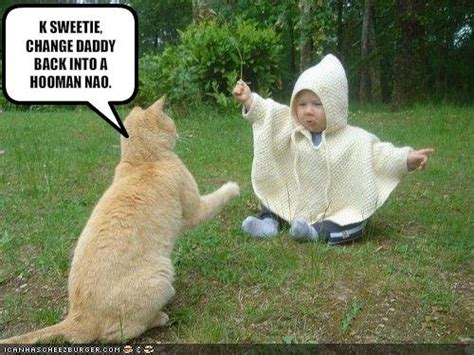 Funny Pictures Of Baby Animals Baby Animals Pictures Tedlillyfanclub