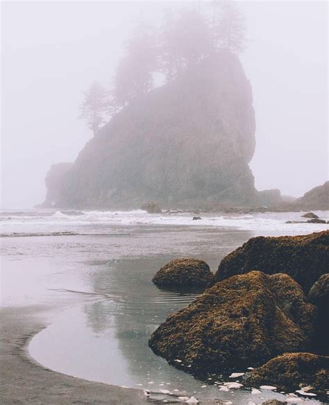 Foggy Mornings On The Coast In Pacific Northwest