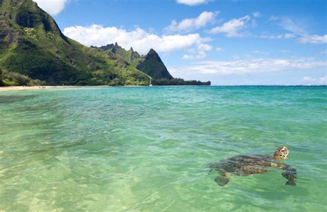 10 Best Places To Visit In Hawaii A Perfect Holiday