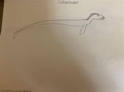 Cadborosaurus By Swaglord500 On Deviantart