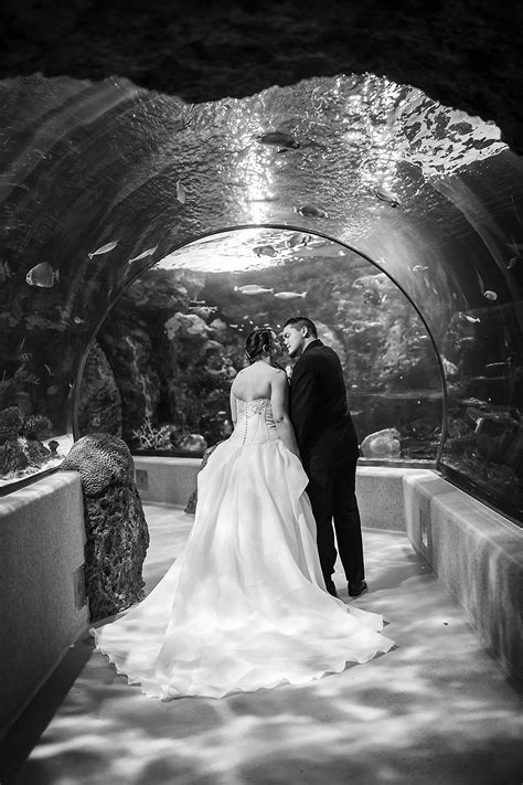 Cruz Wedding Virginia Aquarium Wedding Virginia Beach