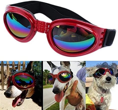 Protect Your Pups Eyes With A Pair Of Dog Goggles Pawsify
