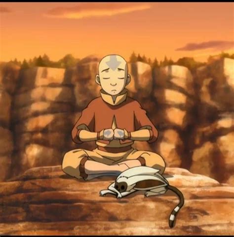 Avatar Aang Meditating And Momo Sleeping Avatar Aang Avatar The Last