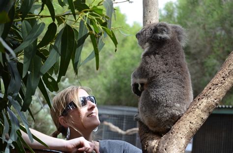 Kangaroo Island Wildlife Park Travel Oz