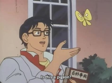 Is This A Meme The Confused Anime Guy And His Butterfly Explained