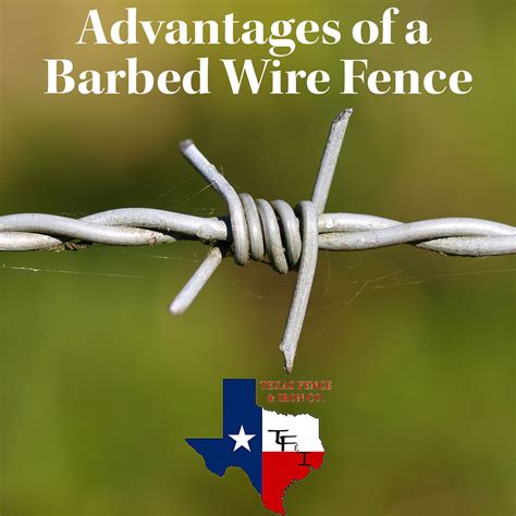 The Advantages Of Installing A Barbed Wire Fence