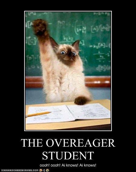 The Overeager Student Funny Cat Memes Funny Animals Silly Cats