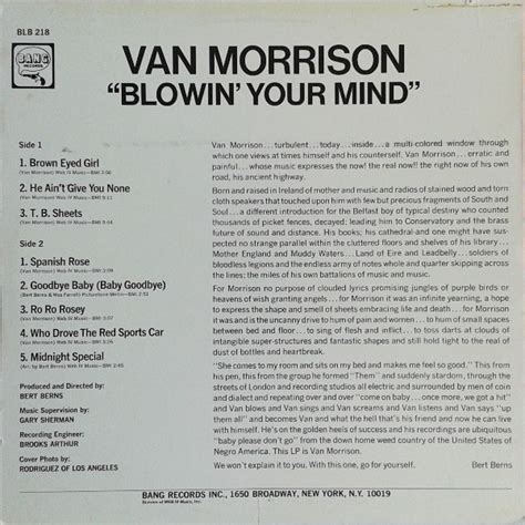 Van Morrison Blowin Your Mind Us Vinyl Pussycat Records