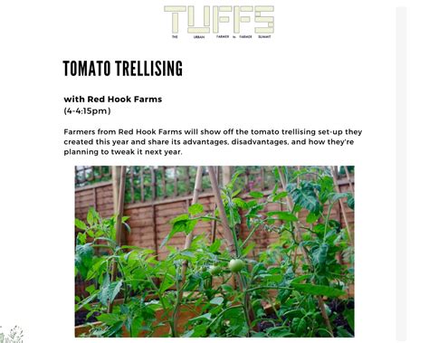 Tomato Trellising — The Urban Farmer To Farmer Summit