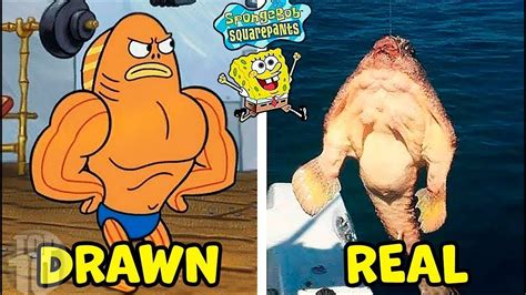 10 Spongebob Characters In Real Life 10 Top Buzz