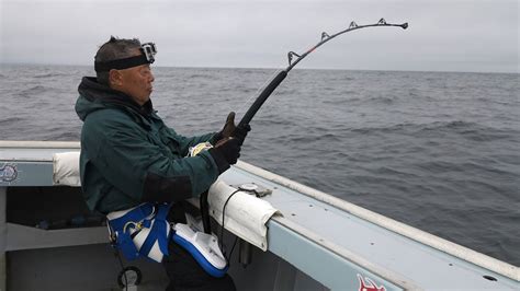 In Search Of Bluefin Page Saltwater Fishing Discussion Board Including Inshore Fishing