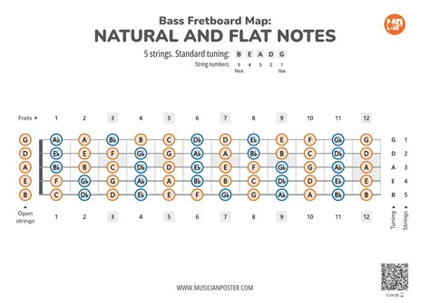 5 String Bass Guitar Printable Fretboard Map With All Notes