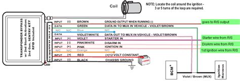 Bulldog Remote Starter Wiring Diagram Database