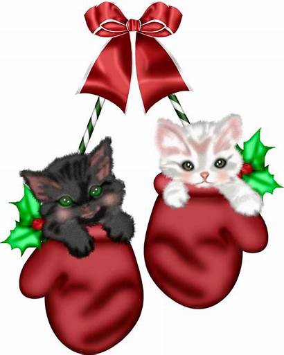 Christmas Cat Clipart Clip Decoupage Animals Kitty