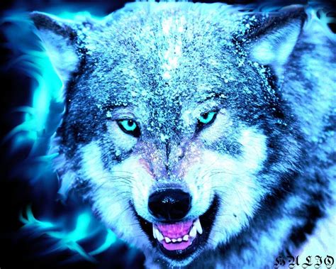 Cool Wolf Wallpapers Wallpaper Cave