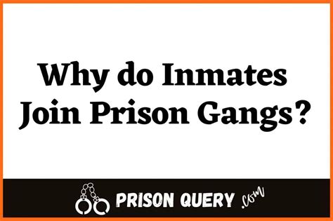 Why Do Inmates Join Prison Gangs The Reasons Prison Query