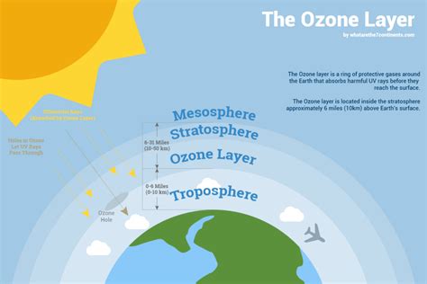 To propagate (a plant) by means of layers. The Ozone Layer: What Is it, How its Formed, & Why It is ...